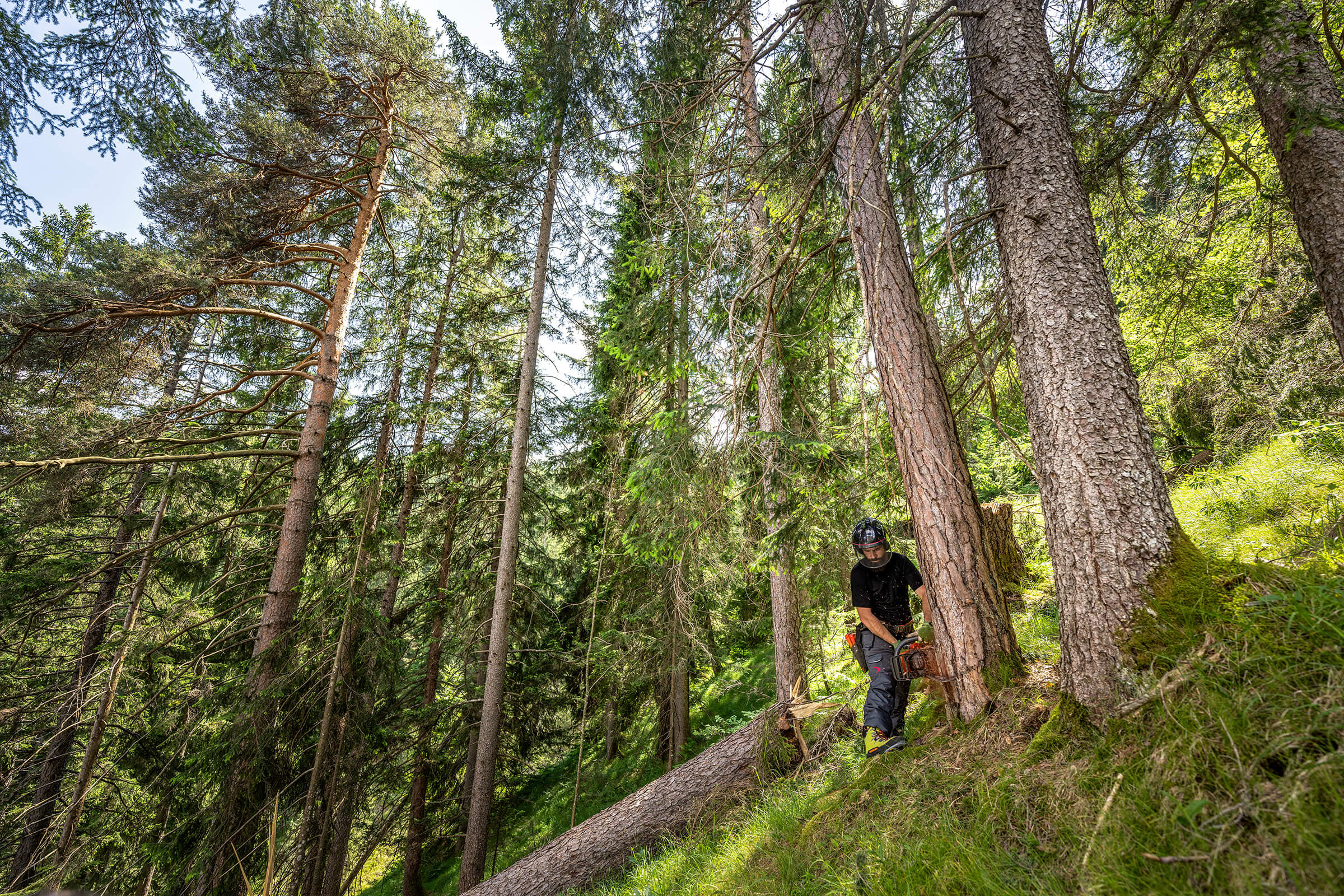 Forestry-Boots Zamberlan North America