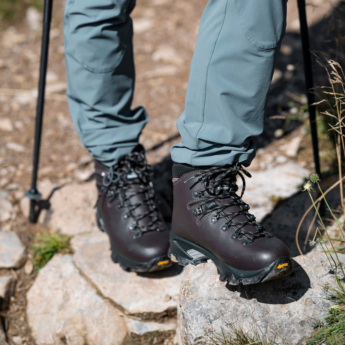 VIOZ GTX WNS - Dark Brown