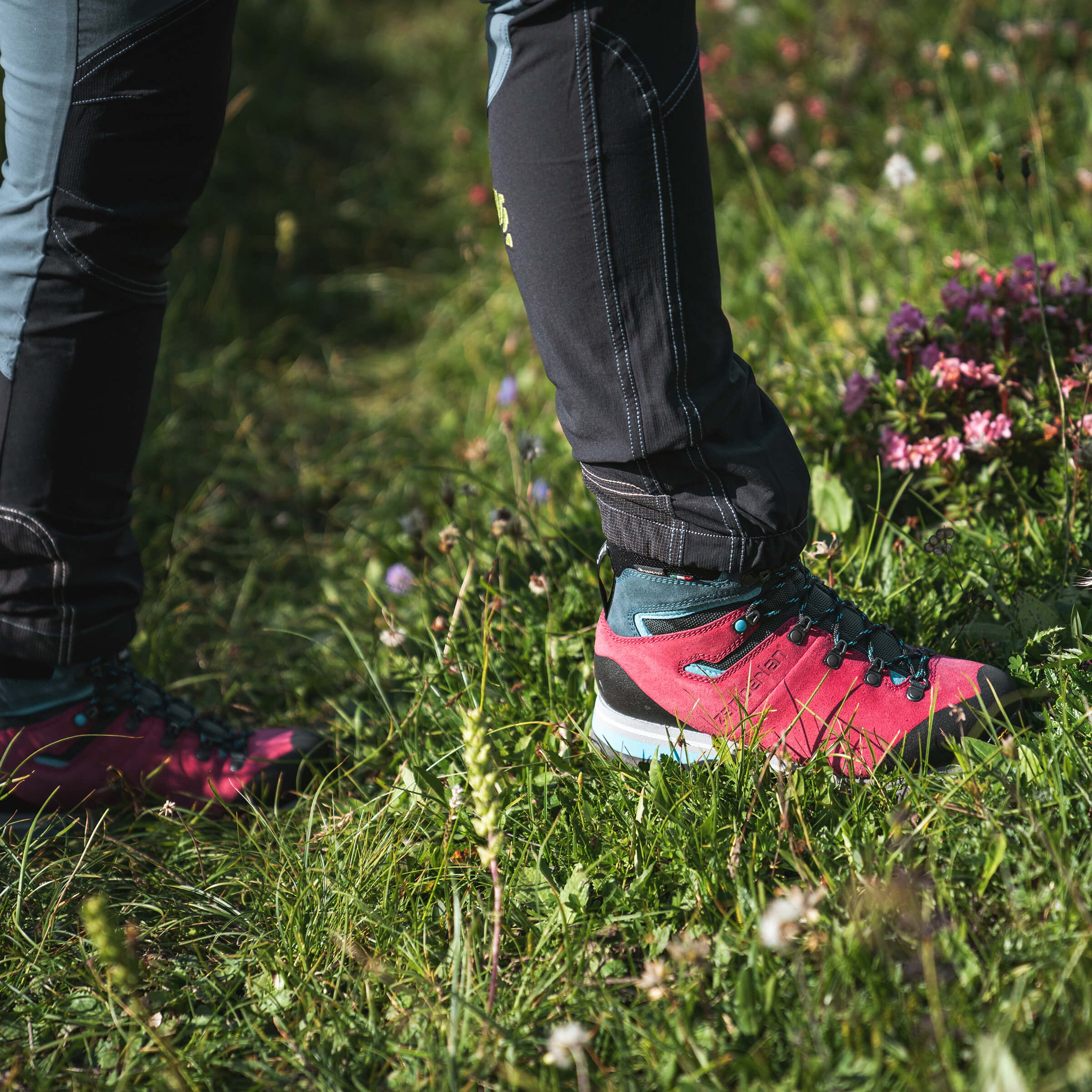 THUNDER GTX WNS - Wine/Octane | Women's Hiking Boots | Zamberlan